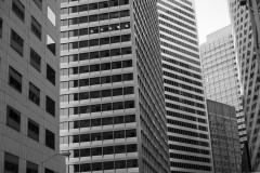 P1050313